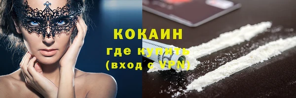 индика Наволоки