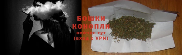 индика Наволоки