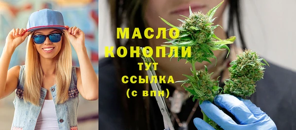 индика Наволоки