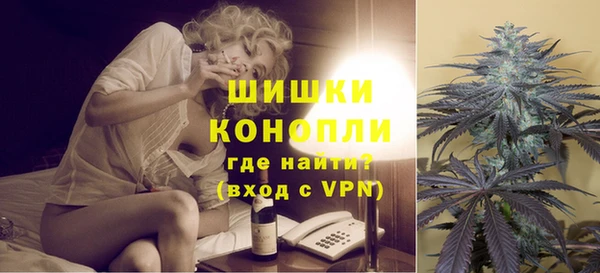 индика Наволоки