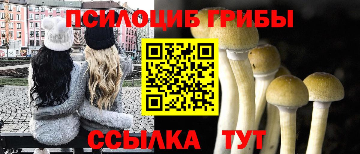 Галлюциногенные грибы мицелий  Галлюциногенные грибы прущие грибы  Вход с VPN  Назрань 
